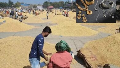 Kota Mandi Bhav : गेहूं, सोयाबीन, सरसों व लहसुन तेज