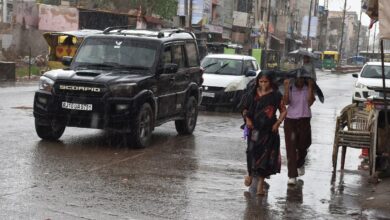 Western Disturbance : अंचल में हुई बूंदाबांदी, साहवा में महिला पर गिरी आकाशीय बिजली से हुई मौत