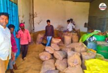 Wheat MSP Price : एमएसपी पर गेहूं बेचने से डर रहे हैं बांसवाड़ा के किसान, जानें क्या है वजह?