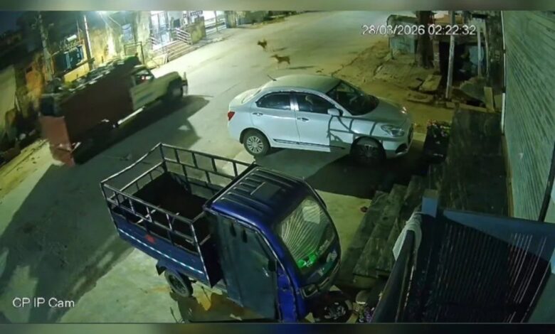 अलवर में बेखौफ गो-तस्कर: कुछ ही मिनट में घर के बाहर से गाय चोरी