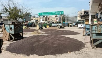 बाजार भाव उठने की उम्मीद, मंडी में फसल लाने से बच रहे किसान