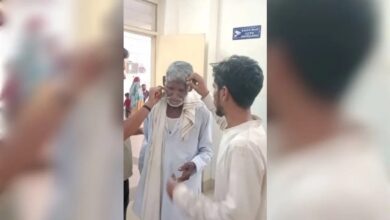 बानसूर में अंतिम संस्कार के दौरान मधुमक्खियों का हमला, 50 से अधिक घायल