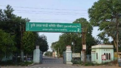 विदेशी संकट से चमकी सरसों: समर्थन मूल्य से ज्यादा भाव