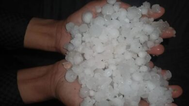 Alert…Alert: चार अप्रेल को राजस्थान के 16 जिलों में चलेंगी तूफानी हवाएं, गिरेंगे ओले, ओरेंज अलर्ट जारी