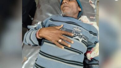 Bear Attack : खेत की रखवाली कर रहे किसान पर तीन भालुओं ने किया हमला, गंभीर हालत में अजमेर रेफर