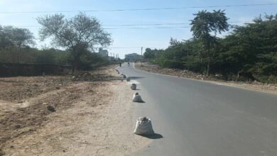 Beawar News: ब्यावर में बन रही 2 सिक्स लेन रोड, आठ माह में पूरा होगा काम, 311 पेड़ों पर चल सकती है कुल्हाड़ी