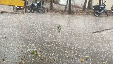 Bundi : आसमां से बरसी आफत, ओलावृष्टि ने गेहूं और चने की फसल पर बरपाया कहर