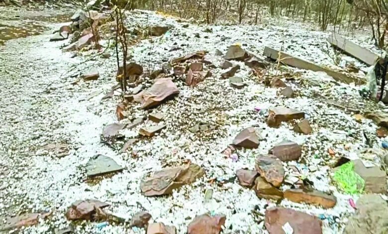 Bundi : बारिश के साथ हुई ओलावृष्टि से किसानों की उम्मीदों पर फिरा पानी