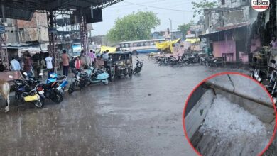 Dausa Weather Alert: तेज अंधड़-बारिश के साथ गिरे ओले, खेतों में बिछी सफेद चादर; आज ऑरेंज अलर्ट