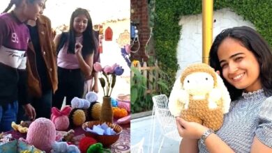 Hobby to Hit Startup : सीए राजकुमारी का ‘यार्निकॉर्न’ बना सफल बिजनेस मॉडल