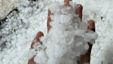 IMD Alert 6 April : देर रात 10 बजे आया तेज अंधड़ व ओलावृष्टि का अलर्ट, रात भर होगी इन जिलों में बारिश