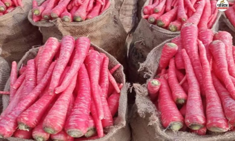 International Carrot Day : राजस्थान के इस जिले की गाजर की मिठास का दीवाना है पूरा देश, होती है खूब कमाई
