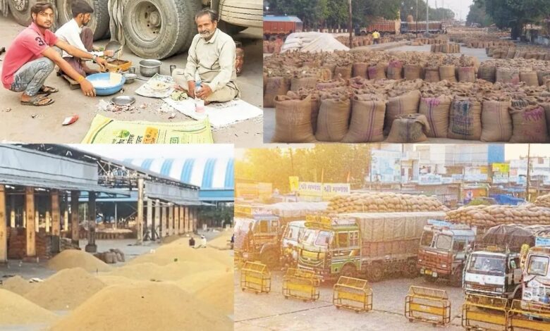 Kota Mandi Bhav : गेहूं बेस्ट व लहसुन तेज, सोयाबीन, सरसों, चना मंदा