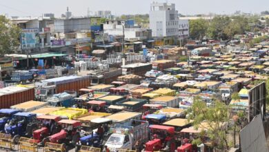 Kota Mandi Bhav : गेहूं व लहसुन तेज, सरसों, मैथी मंदी