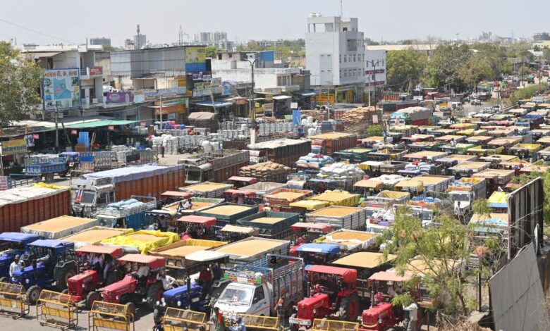Kota Mandi Bhav : गेहूं व लहसुन तेज, सरसों, मैथी मंदी