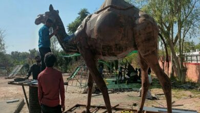 Nagaur news…कबाड़ से बदलेगा दृश्य, जड़ा तालाब में नजर आएंगे बाघ-मोर