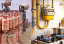 PNG Connection: घरेलू गैस कनेक्शन जारी करने में प्रतिदिन औसतन तीन से चार गुणा की बढ़ोतरी