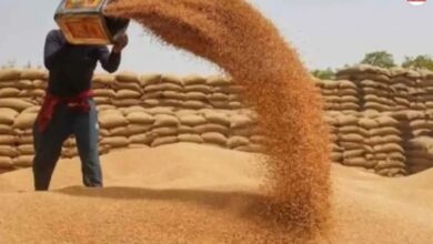 Rajasthan: MSP पर गेहूं खरीद के नियम बदले, लाखों किसानों को मिलेगा फायदा, सरकार ने जारी की नई गाइडलाइन