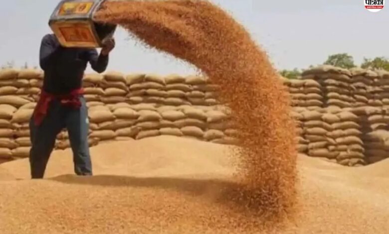 Rajasthan: MSP पर गेहूं खरीद के नियम बदले, लाखों किसानों को मिलेगा फायदा, सरकार ने जारी की नई गाइडलाइन