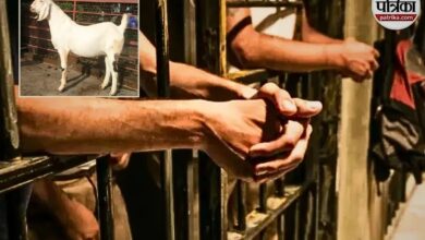 Rajasthan News : एक ‘बकरे’ की वजह से एक ही परिवार के 12 सदस्यों को उम्रकैद, जानें क्या है ये ‘ऐतिहासिक फैसला’?