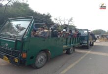 Rajasthan Tourism: रणथम्भौर में पर्यटकों की बम्पर आवक, वीकेंड पर गुलजार हुई बाघों की नगरी