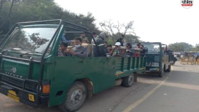 Rajasthan Tourism: रणथम्भौर में पर्यटकों की बम्पर आवक, वीकेंड पर गुलजार हुई बाघों की नगरी