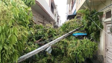 Rajasthan Weather: ब्यावर में तूफानी हवा के साथ बारिश, ओलों की बिछी चादर, वाहनों के शीशे टूटे