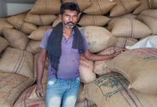 Sarso Chana MSP Update: किसानों के लिए राहत, 1 अप्रेल से समर्थन मूल्य पर खरीदेंगे सरसों-चना, जानिए कीमत