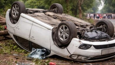 Sriganganagar Accident: ​​​​​पेड़ की टहनी गिरने से हादसा, कार पलटी, 2 की मौत, बच्ची सहित तीन घायल