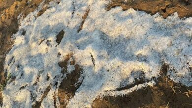 Weather News : जब आसमान हुआ नाराज़ : ओलावृष्टि और बिजली ने बढ़ाई चूरू की धड़कनें