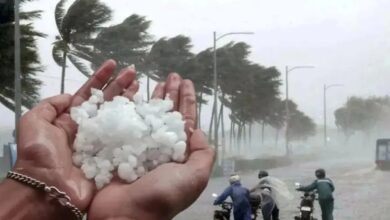 Weather Update: जोधपुर में आज से मौसम का यू-टर्न, 60 किमी रफ्तार से आंधी, बारिश और ओलावृष्टि की चेतावनी