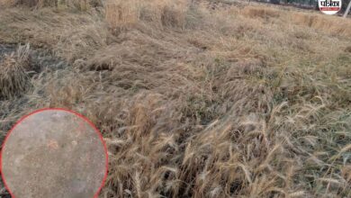 Weather Update: दौसा में लगातार दूसरे दिन बारिश, ट्रांसफार्मर पर गिरी आकाशीय बिजली; कई जगह ओलावृष्टि