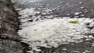 Weather Update : बादलों की चादर, हवाओं की सरगम: चूरू में यलो अलर्ट का असर