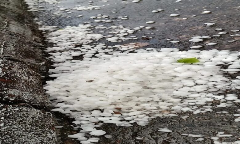 Weather Update : बादलों की चादर, हवाओं की सरगम: चूरू में यलो अलर्ट का असर