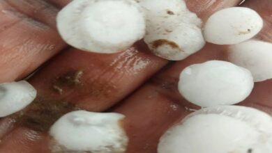 Weather : बदलते मौसम ने बढ़ाई चिंता : इस जिले में बारिश, ओलावृष्टि और अंधड़ से जनजीवन व खेती प्रभावित