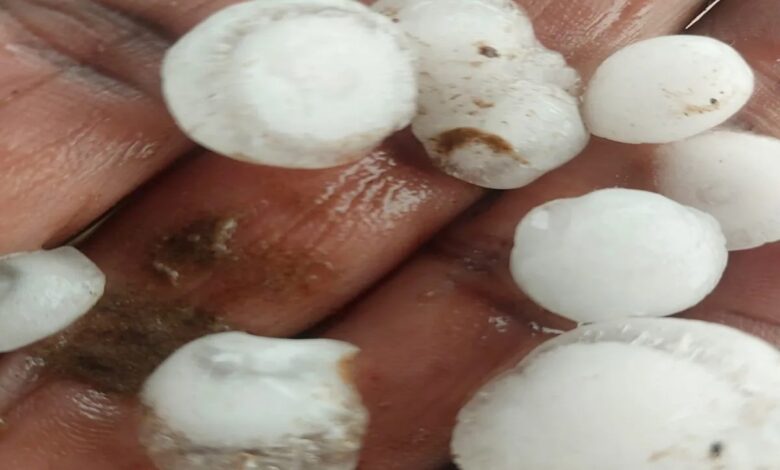 Weather : बदलते मौसम ने बढ़ाई चिंता : इस जिले में बारिश, ओलावृष्टि और अंधड़ से जनजीवन व खेती प्रभावित