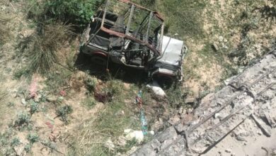 करौली: बेकाबू जीप पुल की रेलिंग तोड़ 30 फीट नीचे सूखी नदी में गिरी, एक की मौत, दूसरा घायल