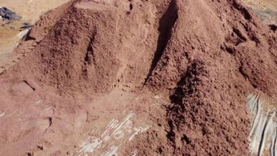 खाकी की सरपरस्ती में पनप रहा माफिया, कोटड़ी-बीगोद में खुलेआम चल रही अवैध फैक्ट्रियां