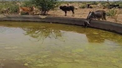 गहराया पेयजल संकट, न पहुंच रहा पानी और न पहुंच रहे टैंकर