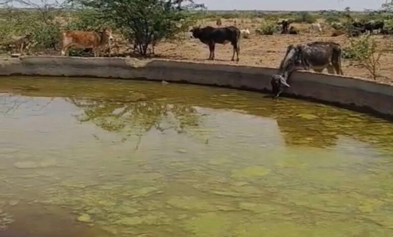 गहराया पेयजल संकट, न पहुंच रहा पानी और न पहुंच रहे टैंकर