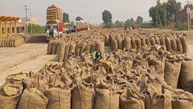 जैसलमेर सहित कई कृषि उपज मंडियों में विकास को मिलेगी गति, करोड़ों के कार्य स्वीकृत