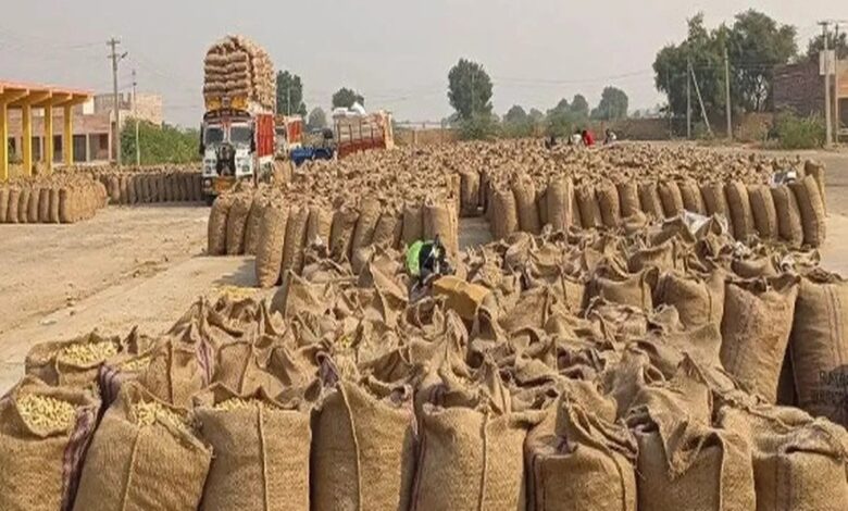 जैसलमेर सहित कई कृषि उपज मंडियों में विकास को मिलेगी गति, करोड़ों के कार्य स्वीकृत