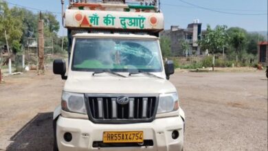 दिल्ली-मुम्बई एक्सप्रेस-वे पर ऊंट तस्करी का भंडाफोड़; मेवात ले जाए जा रहे 3 ऊंट मुक्त कराए