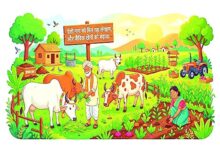 देशी गाय को मिल रहा संरक्षण, और जैविक खेती को बढ़ावा