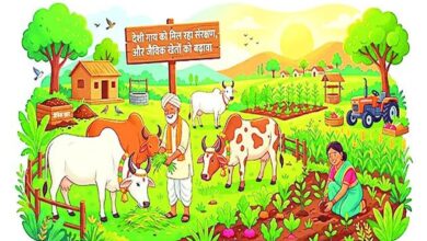 देशी गाय को मिल रहा संरक्षण, और जैविक खेती को बढ़ावा