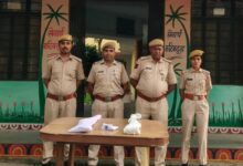 दो देशी बंदूक और एक पिस्टल के साथ तीन जने गिरफ्तार