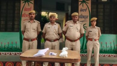 दो देशी बंदूक और एक पिस्टल के साथ तीन जने गिरफ्तार