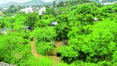 राजनीतिक अखाड़े में फंसा पशु चिकित्सालय, जनता देख रही तमाशा,जमीन आज भी अतिक्रमण में जकड़ी