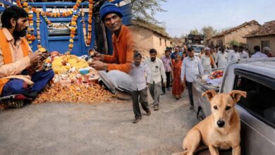 विदा हुआ सबका लाडला ‘डॉग-सा’: दुख में साथ निभाने वाले बेजुबान के लिए पूरा गांव रो पड़ा