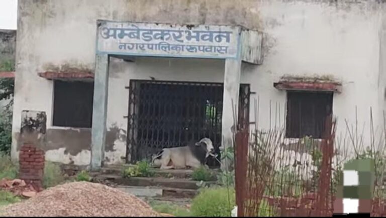 करोड़ों की लागत से बना अम्बेडकर भवन बना आवारा पशुओं का बसेरा, देखरेख के अभाव में बदहाल